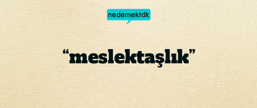 “meslektaşlık”