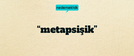 “metapsişik”