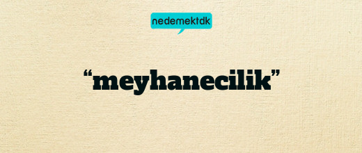 “meyhanecilik”