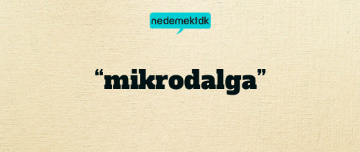 “mikrodalga”