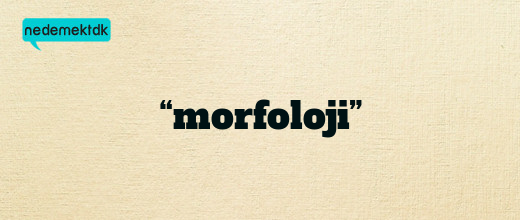 “morfoloji”