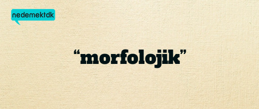 “morfolojik”
