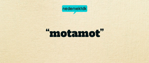 “motamot”