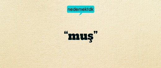 “muş”