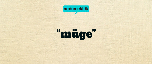 “müge”