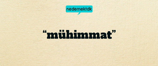 “mühimmat”