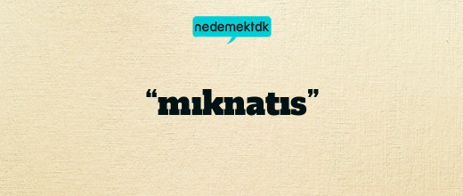 “mıknatıs”