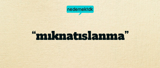 “mıknatıslanma”