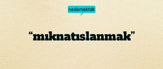 “mıknatıslanmak”