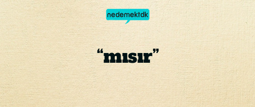 “mısır”
