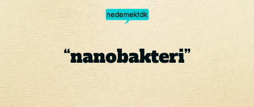 “nanobakteri”