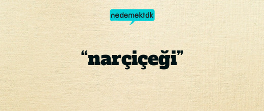 “narçiçeği”