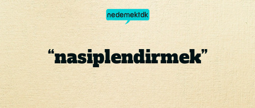 “nasiplendirmek”