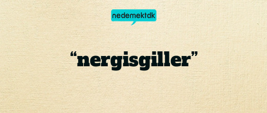 “nergisgiller”