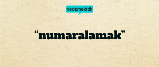 “numaralamak”