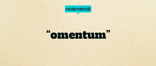 “omentum”