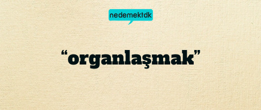 “organlaşmak”