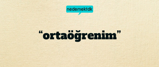 “ortaöğrenim”