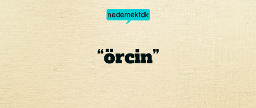 “örcin”