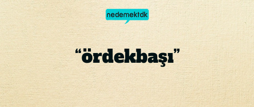 “ördekbaşı”