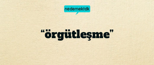“örgütleşme”