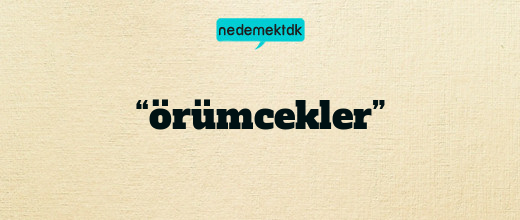 “örümcekler”
