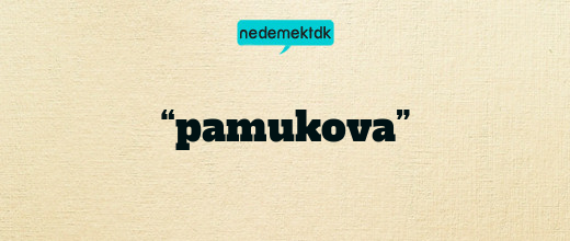 “pamukova”