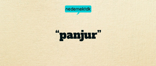 “panjur”