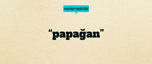 “papağan”