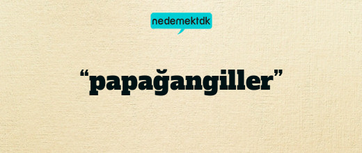 “papağangiller”