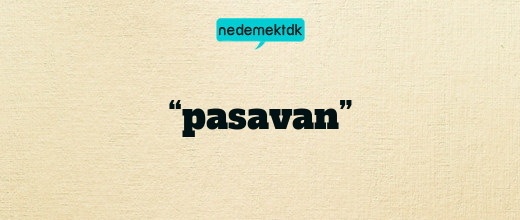 “pasavan”