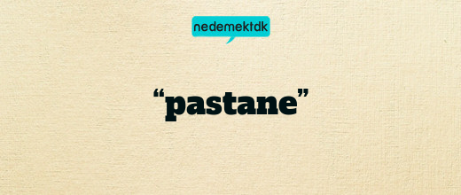 “pastane”