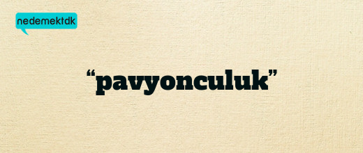 “pavyonculuk”