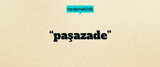 “paşazade”