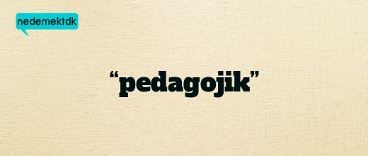 “pedagojik”