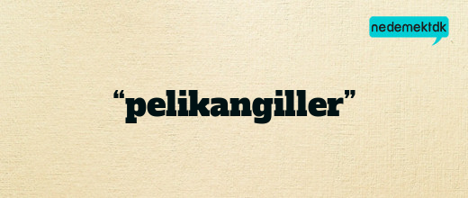 “pelikangiller”