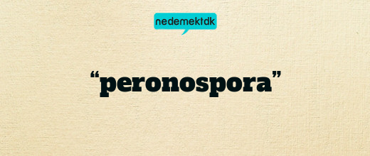 “peronospora”