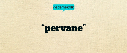 “pervane”