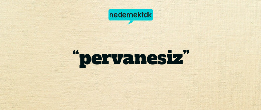 “pervanesiz”