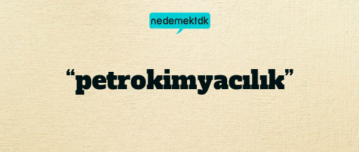 “petrokimyacılık”