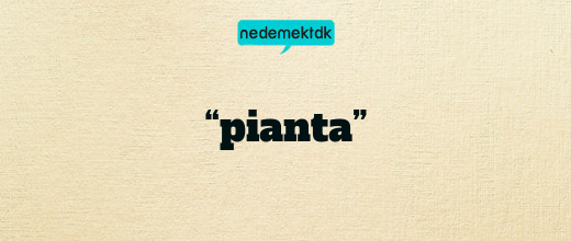 “pianta”