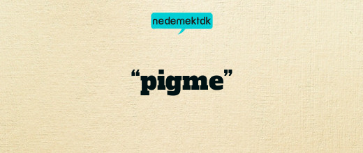 “pigme”