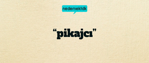 “pikajcı”
