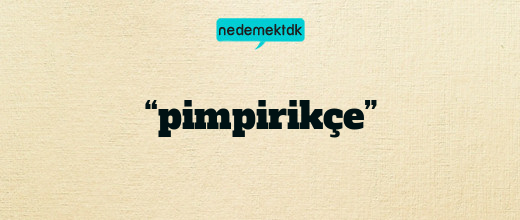 “pimpirikçe”