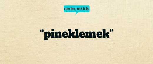 “pineklemek”