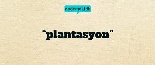 “plantasyon”