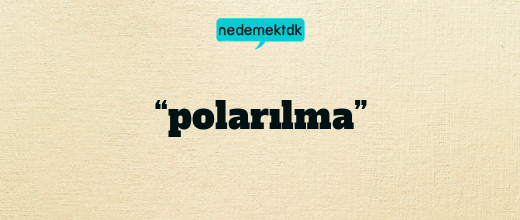 “polarılma”
