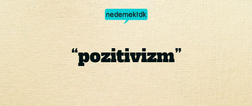 “pozitivizm”