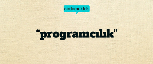 “programcılık”