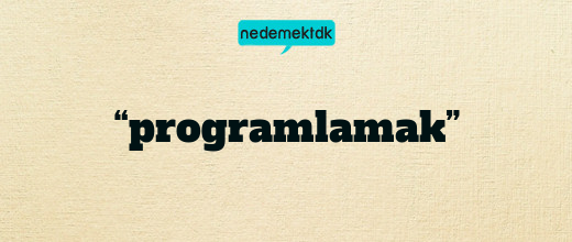 “programlamak”